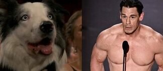 «Nos han robado el Óscar». El actor que da voz a Miles Morales en ‘Spider-Man: Cruzando el multiverso’ pide perdón a los fans de Ghibli y admite que es un mal perdedor