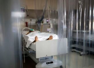 Famosa actriz cayó de un quinto piso: está muy grave