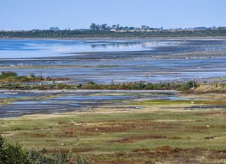 Se inauguró el Pulmón Verde Bahía de Ansenuza