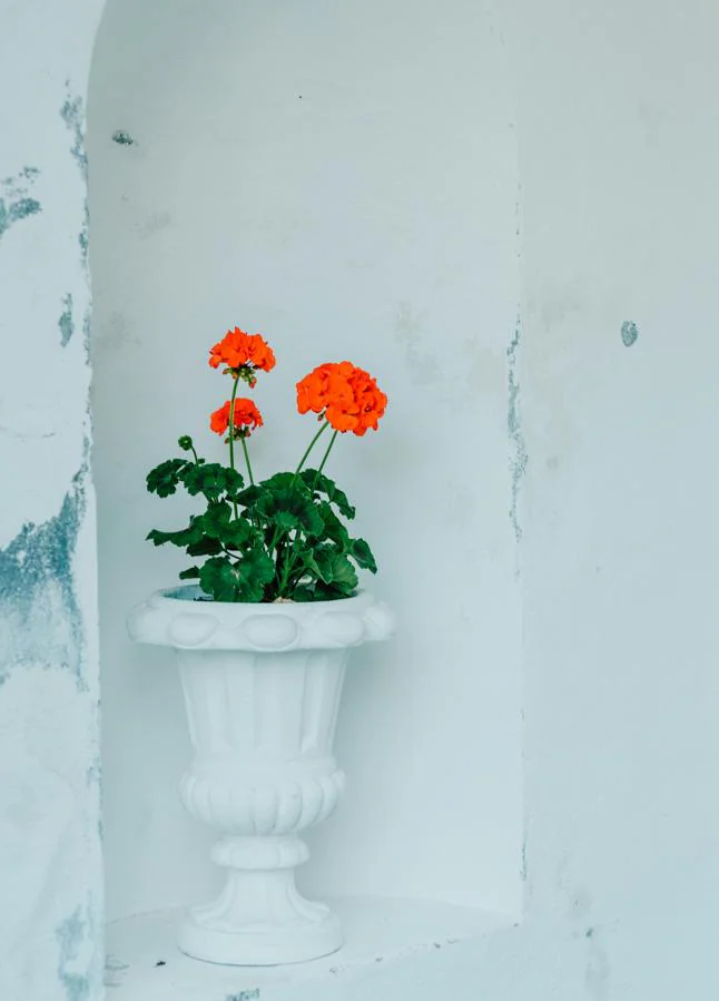 Foto: Pexels.