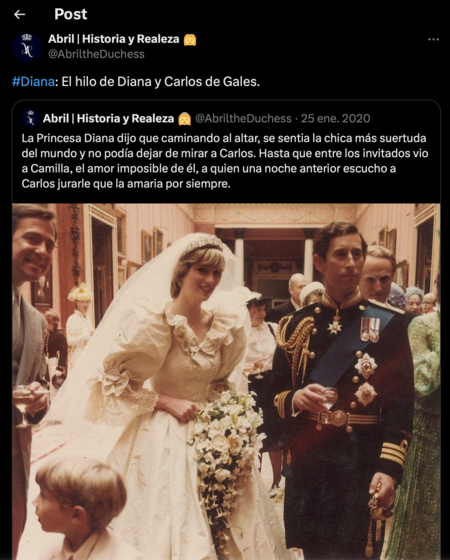 Carlos y Diana - X