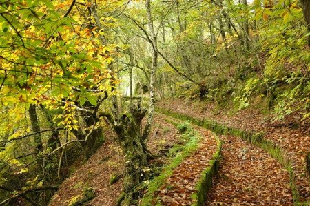 ribeira sacra