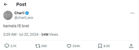 Trendencias Brat Summer Color Verano Charli Xcx1