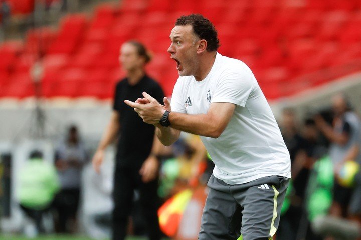 Gabriel Milito, metido en el Galo (EFE).