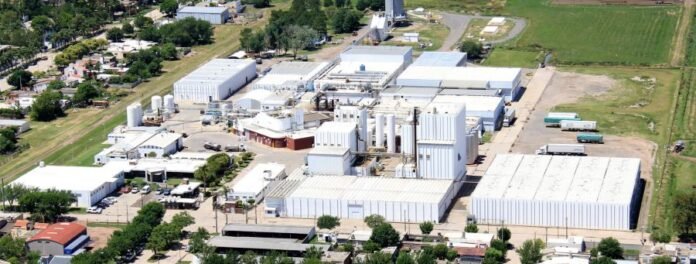 Manfrey, 80 años de innovación y resiliencia: el crecimiento sostenido de la cooperativa láctea de Córdoba