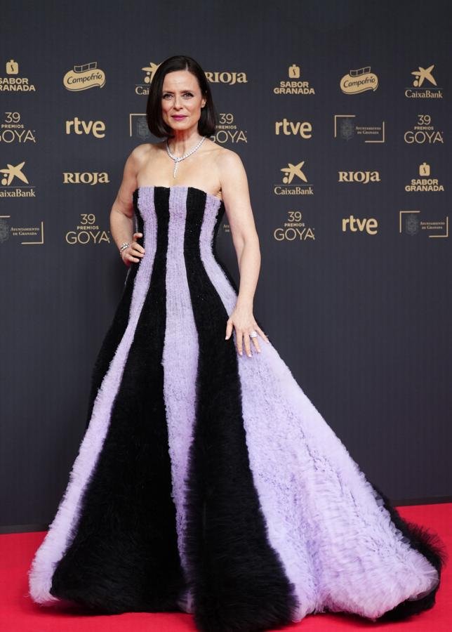 Todos los looks de los Premios Goya 2025 (LIMITED PICTURES)