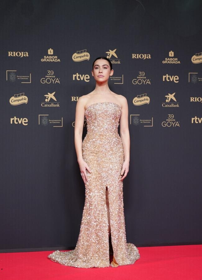 Todos los looks de los Premios Goya 2025 (LIMITED PICTURES)