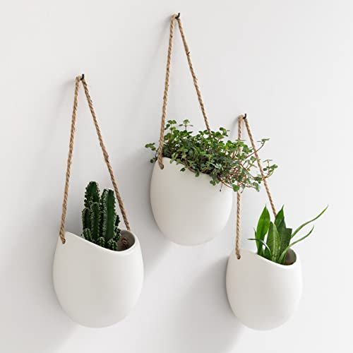 Kazai. Macetas de Pared -Ellie- | Macetas Colgantes De Cerámica | 3 Piezas | Decoración de Pared para Interiores, Balcones y Jardines | Blanco (Mate)