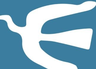 Otra pesadilla para Colapinto