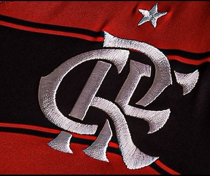 El logo de Flamengo.