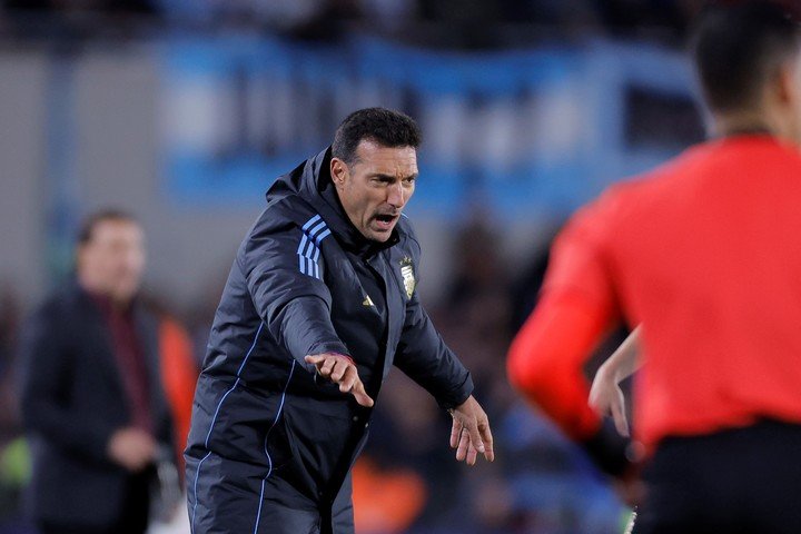 Lionel Scaloni, DT de la Selección Argentina. (EFE/ Juan Ignacio Roncoroni)