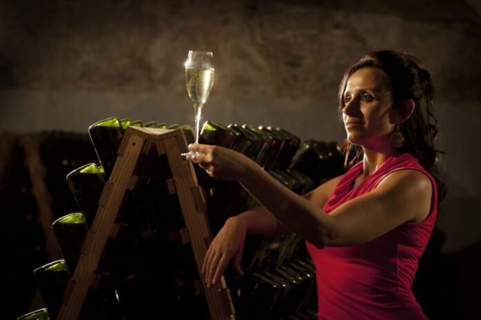 Por primera vez, Córdoba será anfitriona de las “Jornadas Nacionales de Turismo del Vino”