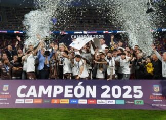 La lucha por entrar a las copas: tres clasificados a la Libertadores y los que pelean por sumarse ahí y a la Sudamericana