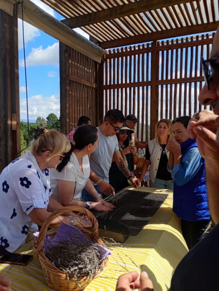 Operadores mayoristas de Colombia recorren Córdoba en un Fam Tour internacional
