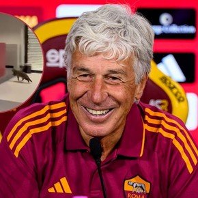 La Loba y el gato: el gracioso momento que vivió Gasperini en conferencia de prensa