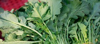 Benedict Cumberbatch se pronuncia sobre la IA en el cine: «el desafío es pensar lento, fracasar y pensar mejor»