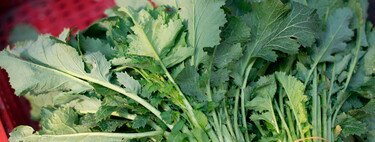 Benedict Cumberbatch se pronuncia sobre la IA en el cine: