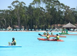 De la fiesta del Mundial Amateur de Río a la ilusión del Sudamericano de Punta del Este
