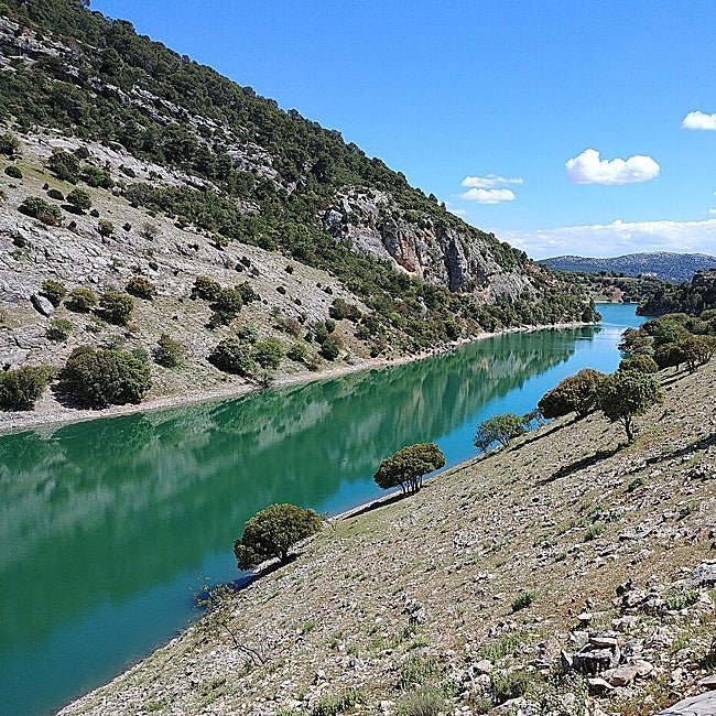 El río Guadalentín represándose en el embalse de la Bolera.