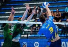 Así se jugarán los playoffs de la Liga de Vóleibol Argentina