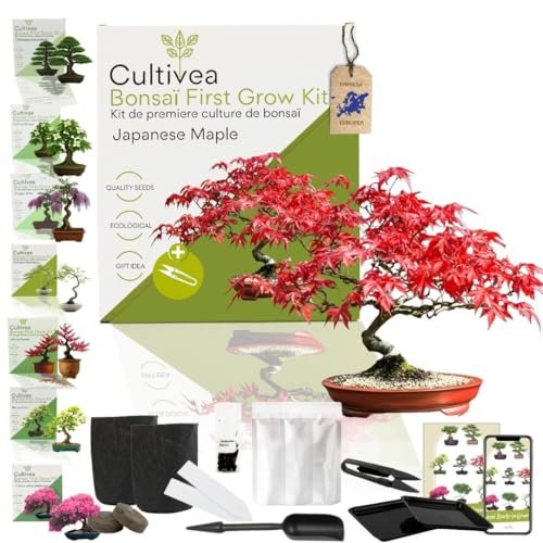 CULTIVEA Kit First Bonsai – Autocultivo de Bonsáis con Semillas y Herramientas 