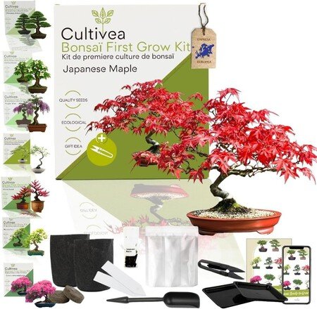 Día del Padre 2026: 25 ideas de regalos originales que de verdad le encantarán