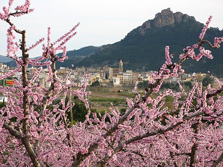 Almendros En Flor Espana Donde Verlos Primavera Planes Naturaleza Escapadas