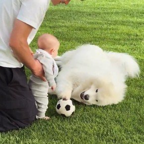 Video: el tierno momento entre Julián Alvarez y su bebé Amadeo