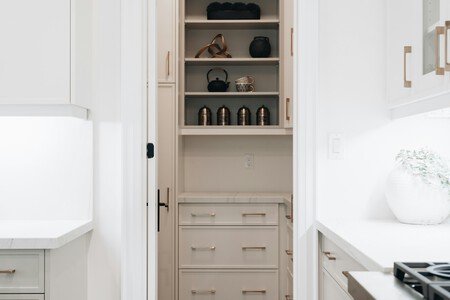 El truco profesional de control de plagas que puedes aplicar en casa si ya has visto cucarachas en tu cocina