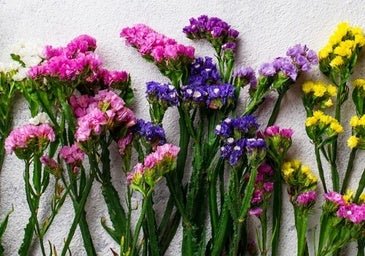 Esta flor de mil colores no necesita riego, nunca se muere y protege tu casa de la mala suerte