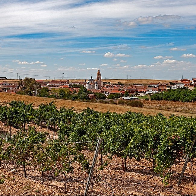 Rueda está rodeada de los viñedos que dan sus afamados vinos.