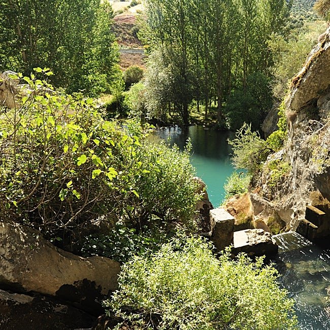 La cueva del Gato de Benaoján está comunicada con la del Hundidero en Montejaque.
