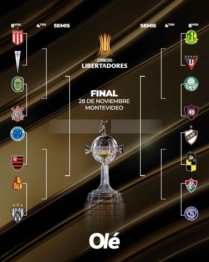 El cuadro de la Copa Libertadores.
