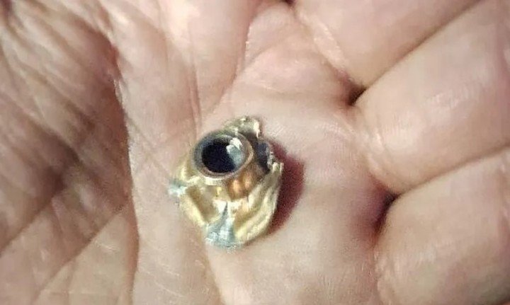 Una de las balas encontradas dentro del micro.