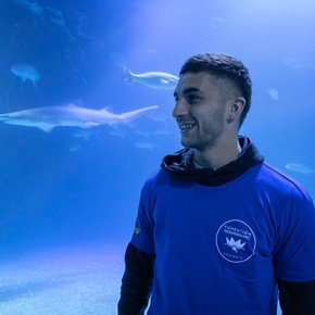Ferran Torres le da nombre a un tiburón en el mayor acuario de Europa después del Mundial 2026