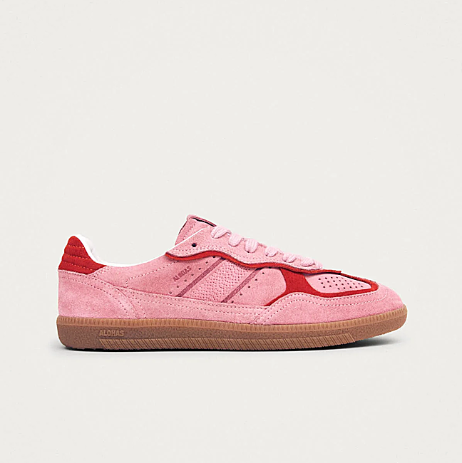 Tb.490 de Hoff (160 euros).