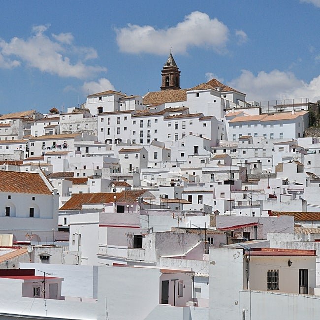 Alcalá de los Gazules es un pueblo blanco de Cádiz en la comarca de la Janda.
