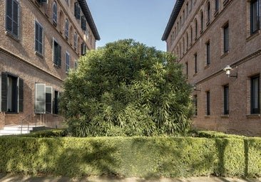 La huella de Lorca, las adelfas de Juan Ramón y los putrefactos de Dalí: todos los motivos para visitar la mítica Residencia de Estudiantes