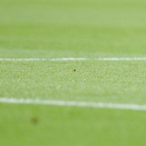 Tiraron pelotas de tenis para parar el partido